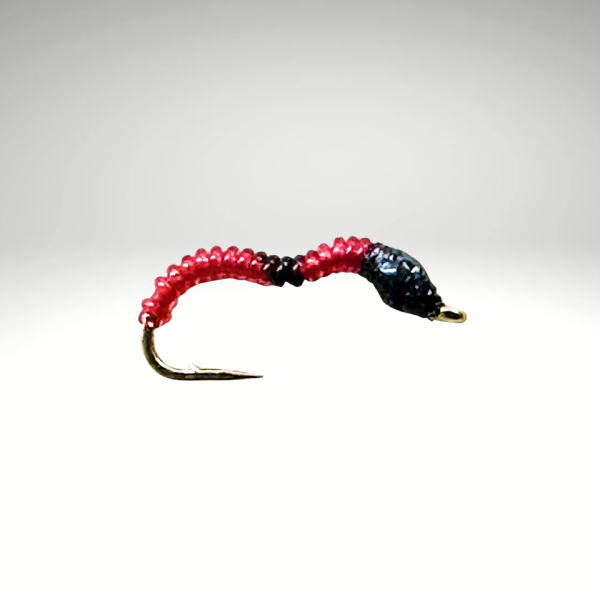 Bindaris Nymphe CB10